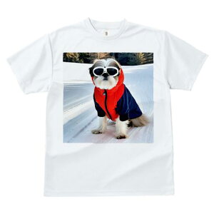 V[Y[ TVc  j[NfUCfB[X t@  t vg JWA 킢 lԗp Mtg I XL[EFA V[Y[ 