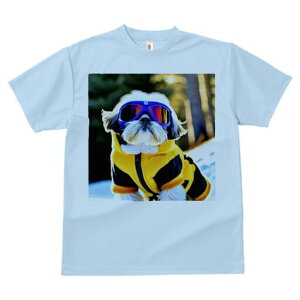 V[Y[ TVc  j[NfUCY LbY t@  t vg JWA 킢 lԗp Mtg I XL[EFA V[Y[ S[O