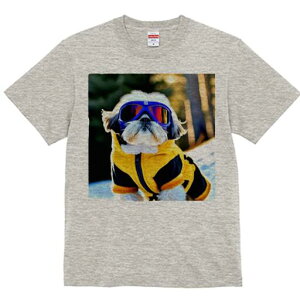 V[Y[ TVc  j[NfUCY LbY t@  t vg JWA 킢 lԗp Mtg I XL[EFA V[Y[ S[O