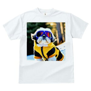 V[Y[ TVc  j[NfUCfB[X t@  t vg JWA 킢 lԗp Mtg I XL[EFA V[Y[ S[O