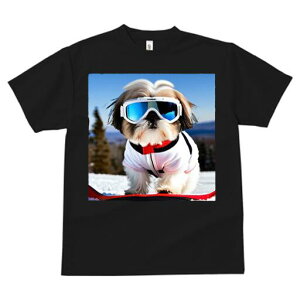 V[Y[ TVc  j[NfUCfB[X t@  t vg JWA 킢 lԗp Mtg I XL[ V[Y[ XL[EFA R ~