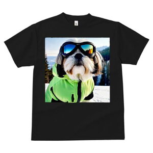 V[Y[ TVc  j[NfUCfB[X t@  t vg JWA 킢 lԗp Mtg I XL[ V[Y[ XL[EFA R