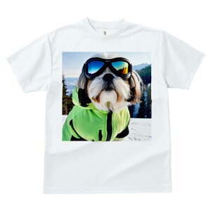 V[Y[ TVc  j[NfUCfB[X t@  t vg JWA 킢 lԗp Mtg I XL[ V[Y[ XL[EFA R