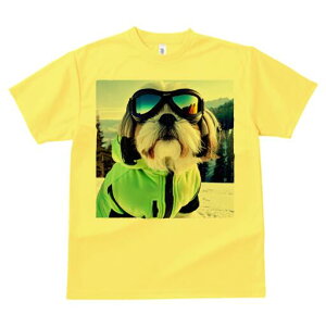 V[Y[ TVc  j[NfUCY LbY t@  t vg JWA 킢 lԗp Mtg I XL[ V[Y[ XL[EFA R