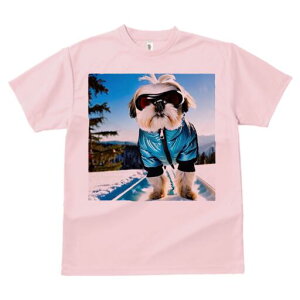 V[Y[ TVc  j[NfUCY LbY t@  t vg JWA 킢 lԗp Mtg I XL[ V[Y[ ~  XL[EFA