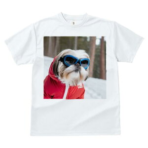 V[Y[ TVc  j[NfUCfB[X t@  t vg JWA 킢 lԗp Mtg I  V[Y[ ~ XL[EFA S[O