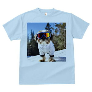 V[Y[ TVc  j[NfUCY LbY t@  t vg JWA 킢 lԗp Mtg I XL[ V[Y[ ~  XL[EFA