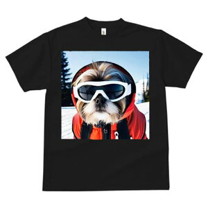 V[Y[ TVc  j[NfUCfB[X t@  t vg JWA 킢 lԗp Mtg I XL[ V[Y[ XL[EFA S[O ~