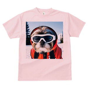 V[Y[ TVc  j[NfUCY LbY t@  t vg JWA 킢 lԗp Mtg I XL[ V[Y[ XL[EFA S[O ~
