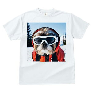 V[Y[ TVc  j[NfUCfB[X t@  t vg JWA 킢 lԗp Mtg I XL[ V[Y[ XL[EFA S[O ~