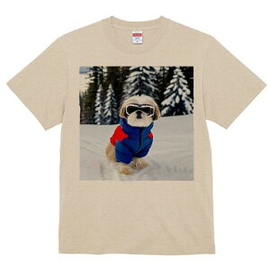 V[Y[ TVc  j[NfUCY LbY t@  t vg JWA 킢 lԗp Mtg I  V[Y[ XL[EFA ~ R