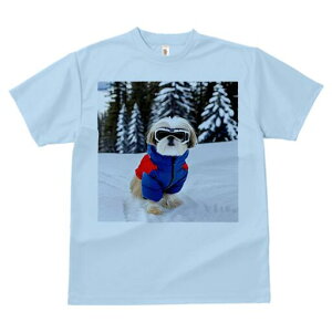 V[Y[ TVc  j[NfUCY LbY t@  t vg JWA 킢 lԗp Mtg I  V[Y[ XL[EFA ~ R