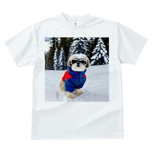 V[Y[ TVc  j[NfUCfB[X t@  t vg JWA 킢 lԗp Mtg I  V[Y[ XL[EFA ~ R