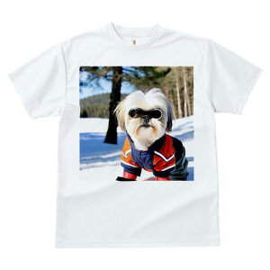 V[Y[ TVc  j[NfUCfB[X t@  t vg JWA 킢 lԗp Mtg I  V[Y[ ~ XL[EFA TOX