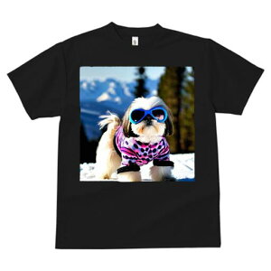 V[Y[ TVc  j[NfUCfB[X t@  t vg JWA 킢 lԗp Mtg I TOX V[Y[ R XL[EFA