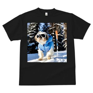 V[Y[ TVc  j[NfUCfB[X t@  t vg JWA 킢 lԗp Mtg I XL[ V[Y[ ~  XL[EFA