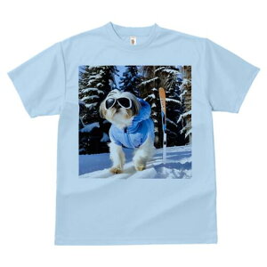 V[Y[ TVc  j[NfUCY LbY t@  t vg JWA 킢 lԗp Mtg I XL[ V[Y[ ~  XL[EFA