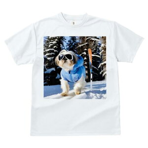 V[Y[ TVc  j[NfUCfB[X t@  t vg JWA 킢 lԗp Mtg I XL[ V[Y[ ~  XL[EFA