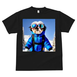 V[Y[ TVc  j[NfUCfB[X t@  t vg JWA 킢 lԗp Mtg I XL[EFA V[Y[ XL[S[O R