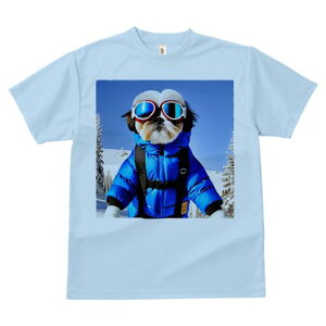 V[Y[ TVc  j[NfUCY LbY t@  t vg JWA 킢 lԗp Mtg I XL[EFA V[Y[ XL[S[O R