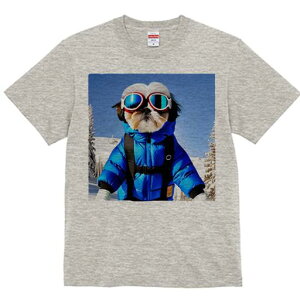 V[Y[ TVc  j[NfUCY LbY t@  t vg JWA 킢 lԗp Mtg I XL[EFA V[Y[ XL[S[O R