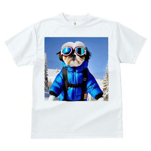 V[Y[ TVc  j[NfUCY LbY t@  t vg JWA 킢 lԗp Mtg I XL[EFA V[Y[ XL[S[O R