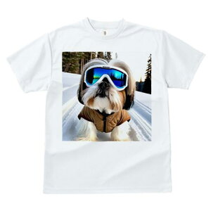 V[Y[ TVc  j[NfUCfB[X t@  t vg JWA 킢 lԗp Mtg I XL[ V[Y[  ~ XL[EFA