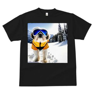 V[Y[ TVc  j[NfUCfB[X t@  t vg JWA 킢 lԗp Mtg I R V[Y[ XL[EFA XL[S[O