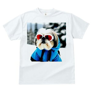 V[Y[ TVc  j[NfUCfB[X t@  t vg JWA 킢 lԗp Mtg I S[O V[Y[ XL[EFA