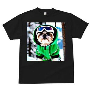 V[Y[ TVc  j[NfUCfB[X t@  t vg JWA 킢 lԗp Mtg I XL[EFA V[Y[ S[O 