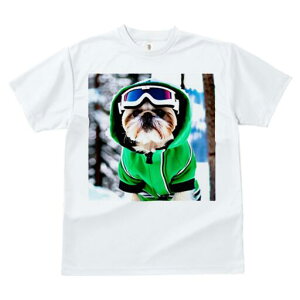 V[Y[ TVc  j[NfUCY LbY t@  t vg JWA 킢 lԗp Mtg I XL[EFA V[Y[ S[O 