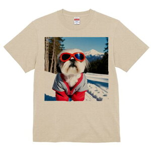 V[Y[ TVc  j[NfUCY LbY t@  t vg JWA 킢 lԗp Mtg I  V[Y[ ~ R XL[EFA