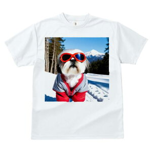 V[Y[ TVc  j[NfUCfB[X t@  t vg JWA 킢 lԗp Mtg I  V[Y[ ~ R XL[EFA