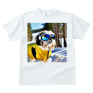 V[Y[ TVc  j[NfUCY LbY t@  t vg JWA 킢 lԗp Mtg I XL[ V[Y[  ~ XL[EFA