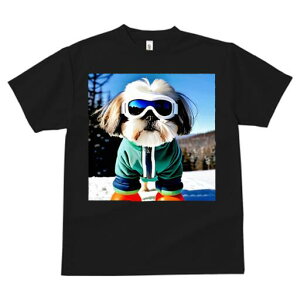 V[Y[ TVc  j[NfUCfB[X t@  t vg JWA 킢 lԗp Mtg I XL[ V[Y[ XL[EFA S[O 