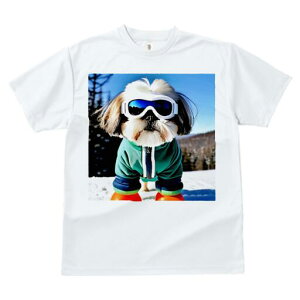 V[Y[ TVc  j[NfUCfB[X t@  t vg JWA 킢 lԗp Mtg I XL[ V[Y[ XL[EFA S[O 