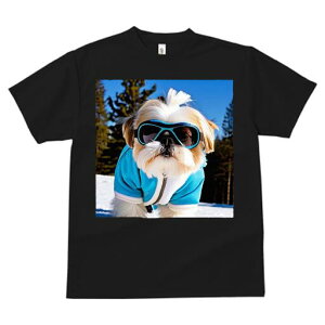 V[Y[ TVc  j[NfUCfB[X t@  t vg JWA 킢 lԗp Mtg I XL[ V[Y[ ~  XL[EFA