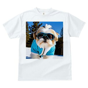 V[Y[ TVc  j[NfUCfB[X t@  t vg JWA 킢 lԗp Mtg I XL[ V[Y[ ~  XL[EFA