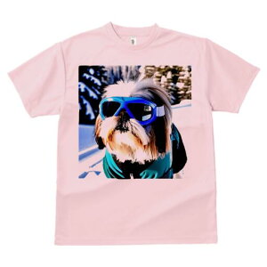 V[Y[ TVc  j[NfUCY LbY t@  t vg JWA 킢 lԗp Mtg I S[O V[Y[ XL[EFA R