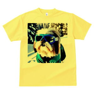 V[Y[ TVc  j[NfUCY LbY t@  t vg JWA 킢 lԗp Mtg I S[O V[Y[ XL[EFA R