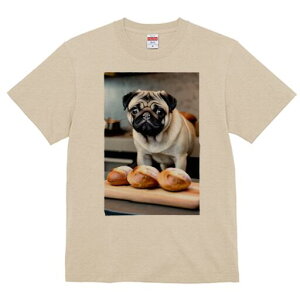 pO TVc  j[NfUCY LbY t@  t vg JWA 킢 lԗp Mtg I p pO ؐ܂Ȕ 