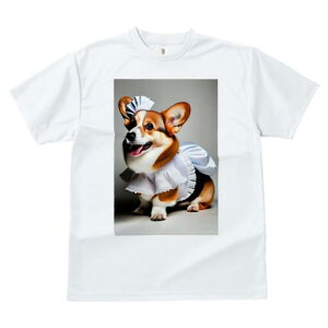 R[M[ TVc  j[NfUCfB[X t@  t vg JWA 킢 lԗp Mtg I Ch R[M[ Gv