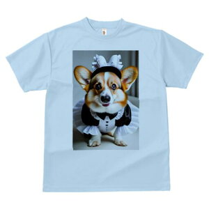 R[M[ TVc  j[NfUCY LbY t@  t vg JWA 킢 lԗp Mtg I Ch R[M[ RXv