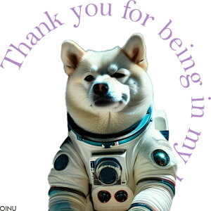 F Č Xy[X NbVJo[ 45×45cm Aj}   NbV{̕t `