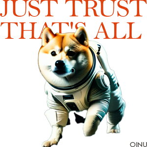 F Č Xy[X NbVJo[ 45×45cm Aj}   NbV{̕t `