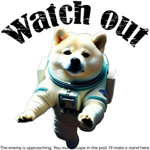 Fsm Č Xy[XVg F NbVJo[ 45×45cm Aj}   NbV{̕t `