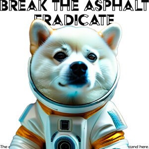 F Č Fsm NbVJo[ 45×45cm Aj}   NbV{̕t `