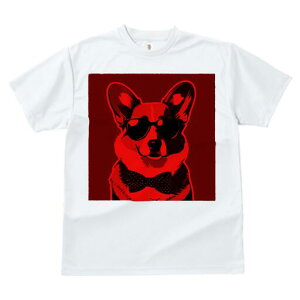 R[M[ TVc  j[NfUCfB[X t@  t vg JWA 킢 lԗp Mtg I TOX R[M[ lN^C