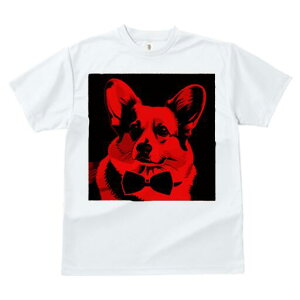 R[M[ TVc  j[NfUCfB[X t@  t vg JWA 킢 lԗp Mtg I lN^C R[M[