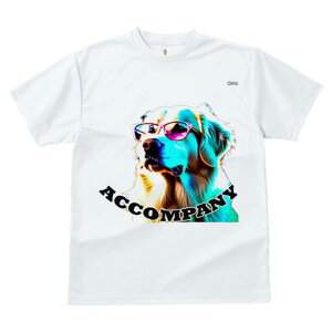 S[fgo[ TVc  j[NfUCY LbY t@  t vg JWA 킢 lԗp Mtg I Kl S[fgo[